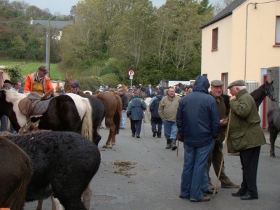 Newmarket Horse Fair October