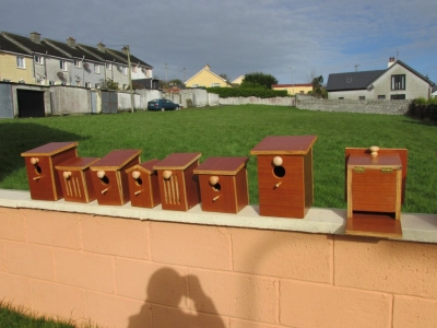 Bird and Butterfly Boxes